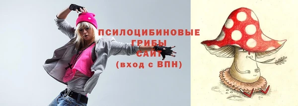индика Переславль-Залесский