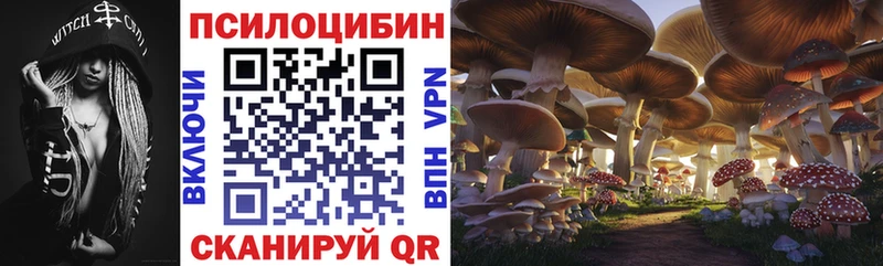 Псилоцибиновые грибы GOLDEN TEACHER  Лагань 